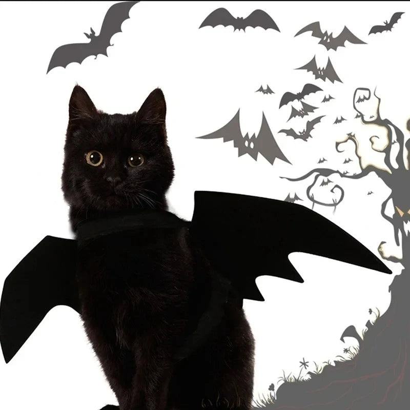 Bat Wings for Pets