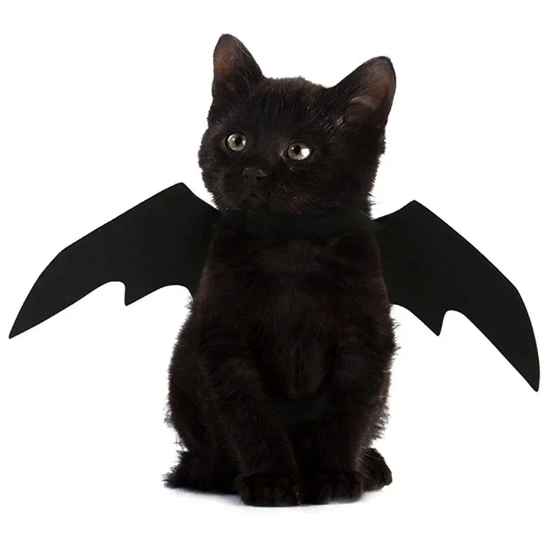 Bat Wings for Pets