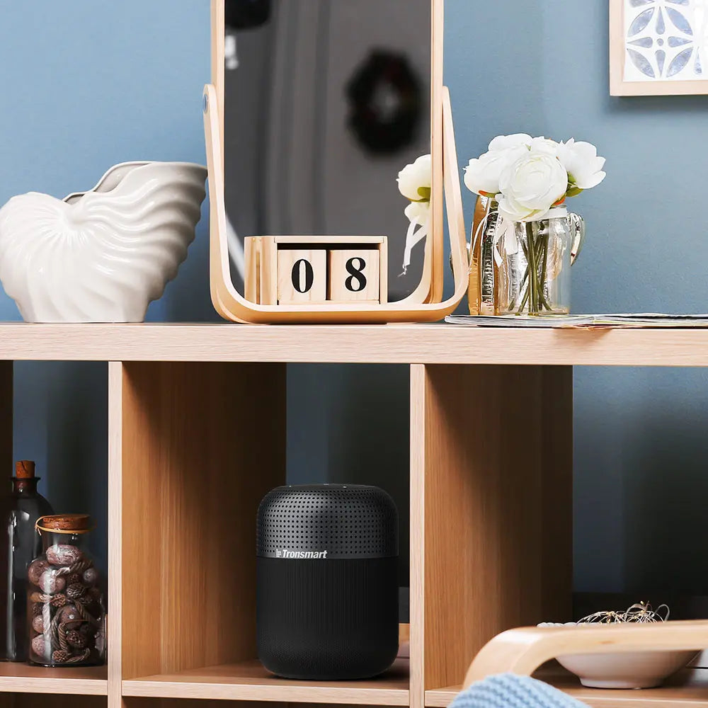 T6 Max Portable Speaker