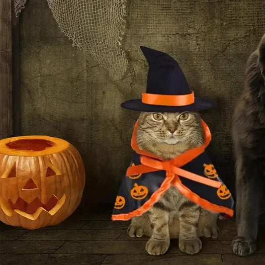 Halloween Witch Costume for Pets