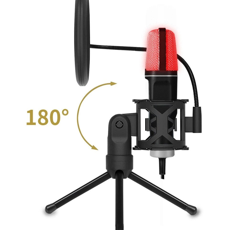 Microfone SF666R