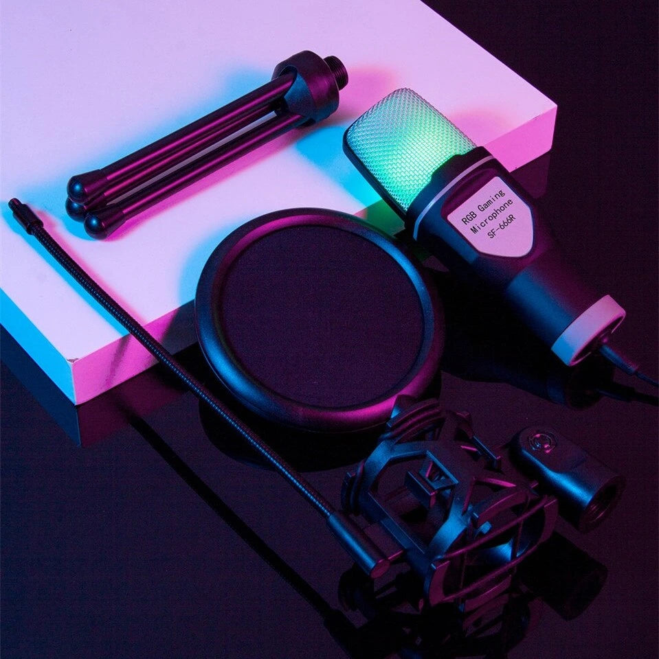 Microfone SF666R