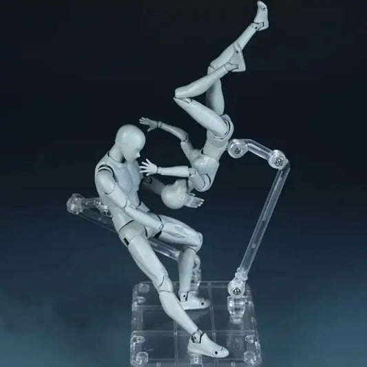 Kun Anatomical Model