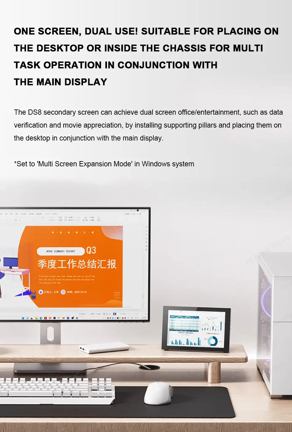 Monitor Auxiliar DS8 (60Hz)