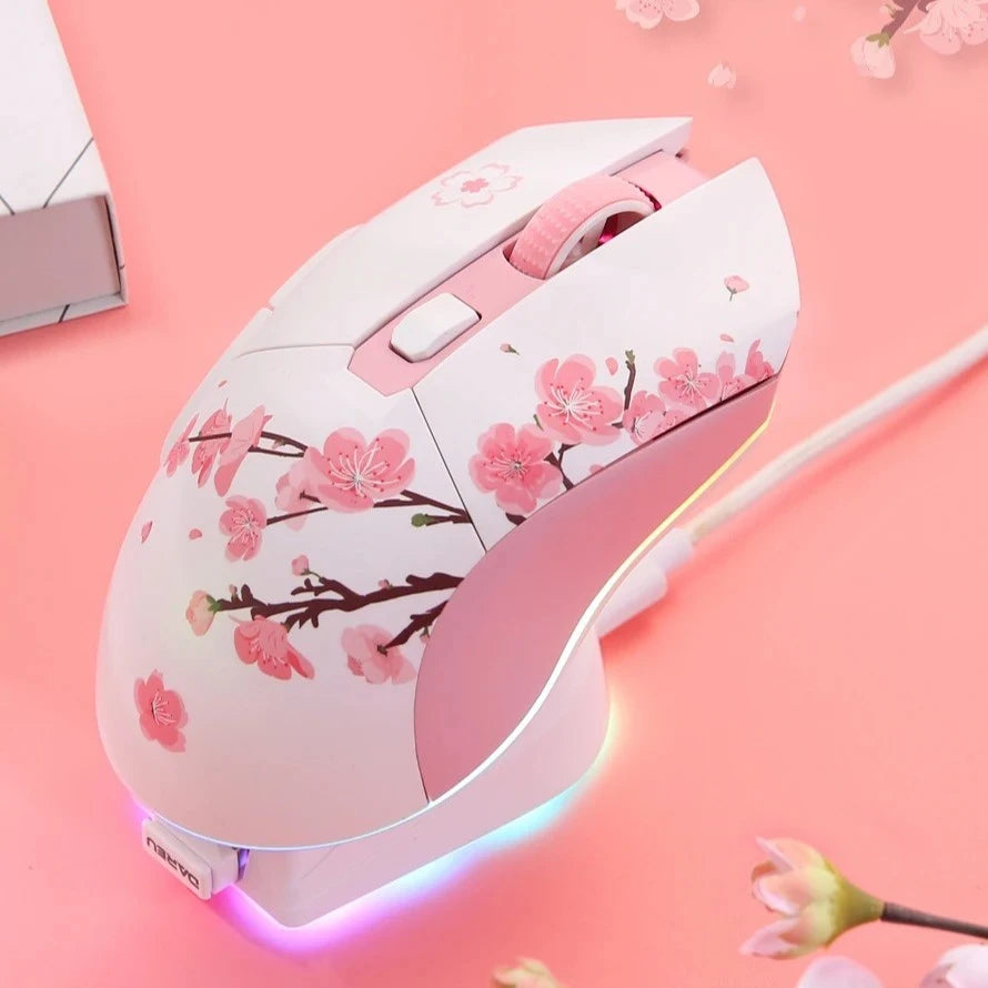 Mouse EM901X (Sem fio 2.4Ghz)