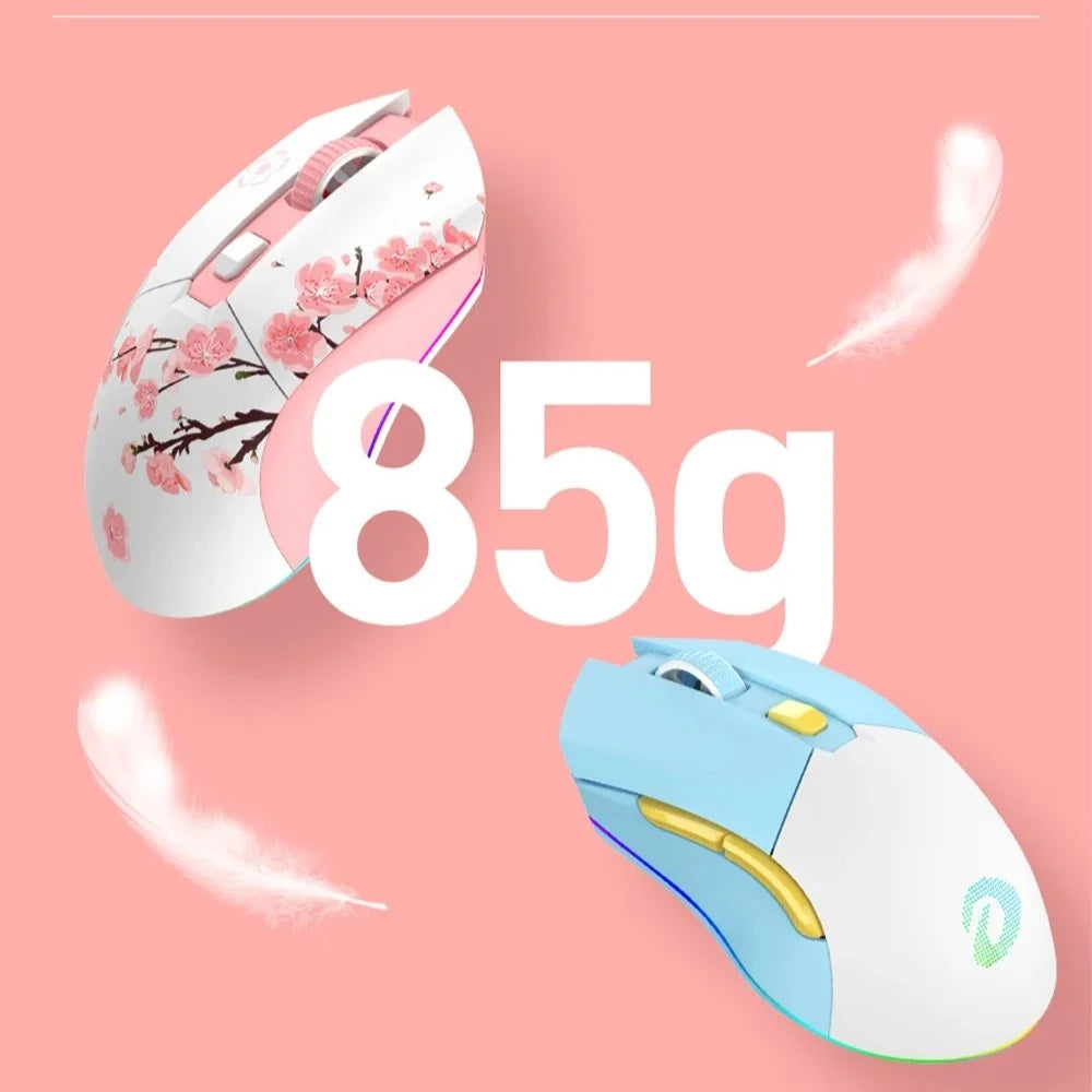 Mouse EM901X (Sem fio 2.4Ghz)