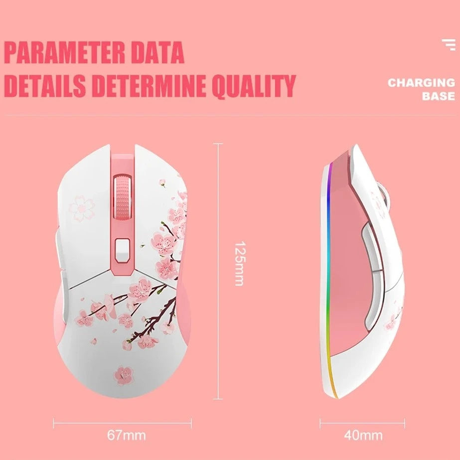 Mouse EM901X (Sem fio 2.4Ghz)