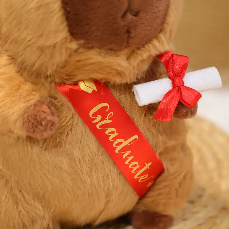 Graduated Capybara Plush Toy