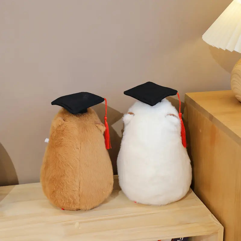 Graduated Capybara Plush Toy