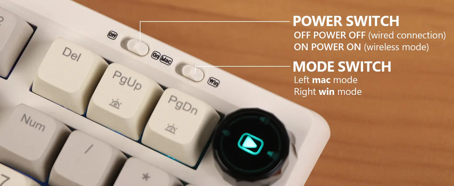 RT100 Mechanical Keyboard (2.4Ghz Wireless)