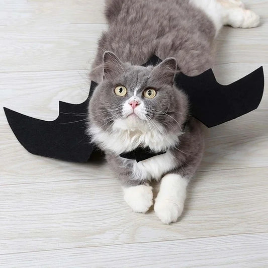 Bat Wings for Pets