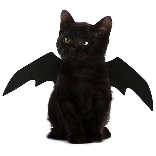 Bat Wings for Pets