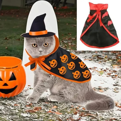 Fantasia de Bruxo do Halloween para Pet