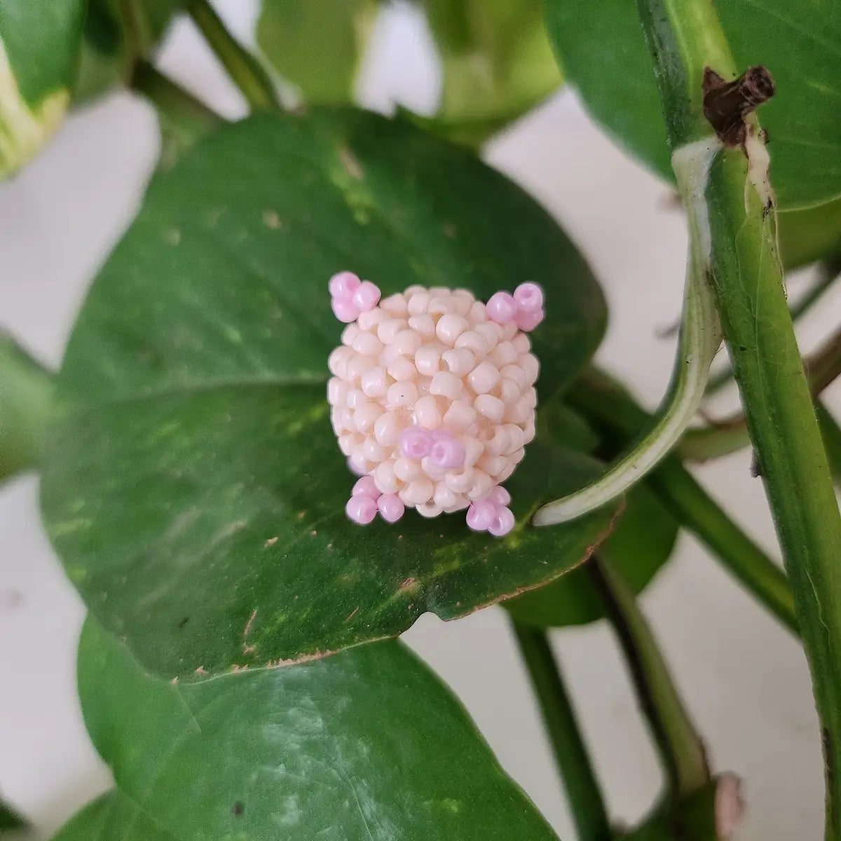 Perlina Pippo Piggy (2 cm)