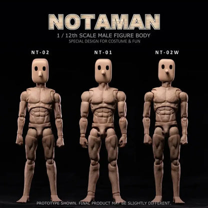 Modelo Anatômico Notaman