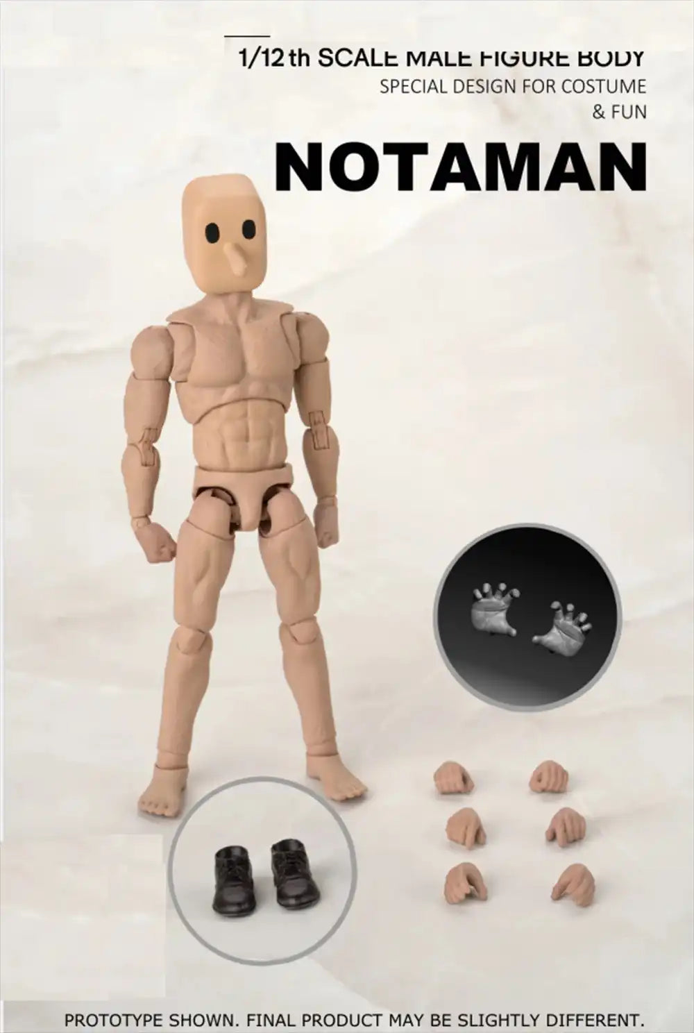 Modelo Anatômico Notaman