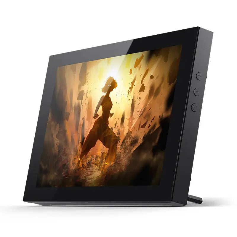 DS8 Auxiliary Monitor (60Hz)