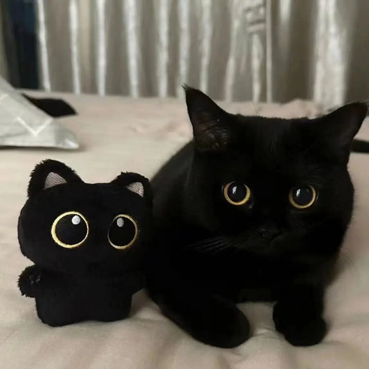 Pelúcia Gentle Blackcat (10cm)