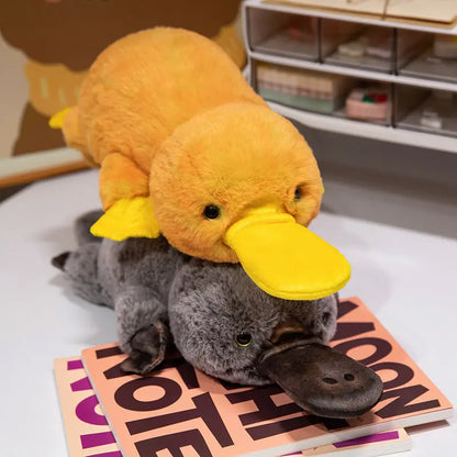 Platypus Plush (45cm)