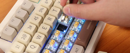 Teclado mecánico RT100 (inalámbrico de 2,4 GHz)