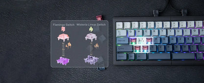 Teclado Mecânico Split65 (Sem fio 2.4Ghz)