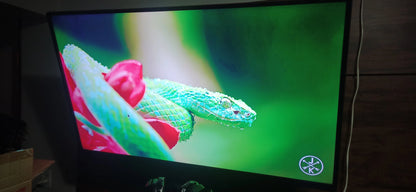 Usado - Smart TV de 49 pulgadas